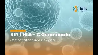 KIR / HLA-C Genotyping &ndash; Immune Compatibility Test