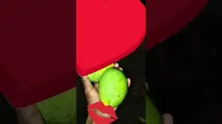 dj didndkndidnrjdndj do nrndjdndn hendndm hi unend bensos hi unend emne hai to bol hem Raj Kumar ehe