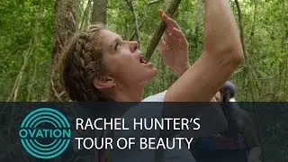 Rachel Hunter -- Caterpillar Tacos and Honey
