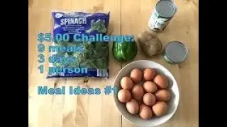 $5 Meal Challenge: 3 days - 9 meals - 1 person: Ideas 1