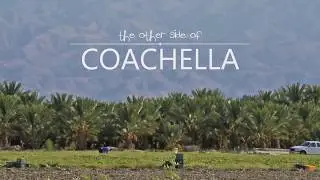 The Other Side of Coachella - Education