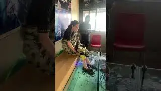 Fish Spa #shorts #trending #viral #youtubeshorts #youtube #ytshorts #viralshorts