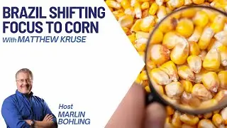 Brazil Shifting Focus To Corn With Matthew Kruse