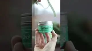 What Makes Peppermint Such a Perfect Wintertime Tea?
