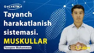 💪 Tayanch harakatlanish sistemasi || 2-qism Muskullar