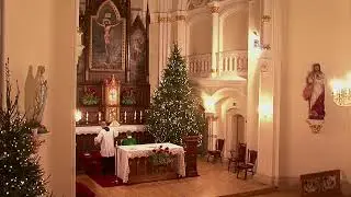 Sv. Mise Jelgavas katoļu katedrālē