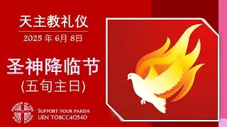 直 播  五 旬 主 日 - 圣 神 降 临 节 华 语 弥 撒 林 源 恆 神 父 主 祭  2025年 6月 8日