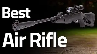 Best Air Rifle 2021-2022 For Hunting