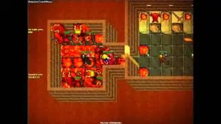 Tibia 