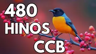480 HINOS CANTADOS CCB-  20/01/2026 HINÁRIO 5 - CCB 341,342,343,344,345,346,347,348,349,350,351,352