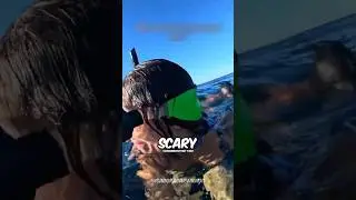 Это погружение в океан пошло не так 💀😱