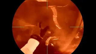 Disney Alien Encounter Fan-Made Night Vision Scene! Half segment (NOT COMPLETE)