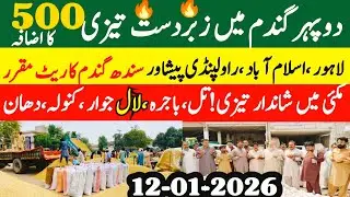Today Wheat price in punjab//گندم کا ریٹ2026/munji makki till sarso/Galla mandi rate today 2026