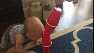 Georgia Smash