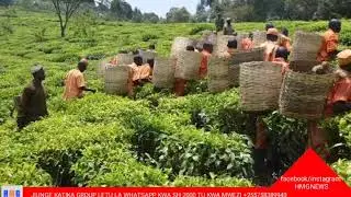 Historia ya mji wa Tukuyu mji pendwa wa Wajerumani