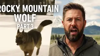 Survivals World / Rocky Mountain Wolf Part 3 [ हिन्दी डॉक्यूम