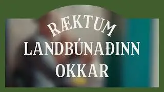 Vi&eth; erum &ouml;ll &uacute;r s&ouml;mu sveit