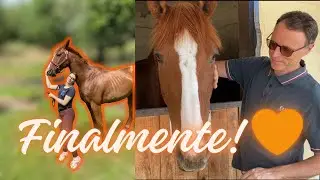 PAPÀ vede per la PRIMA volta CARAIBE🧡