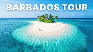 Barbados Travel Guide 🇧🇧 | Best Place to Visit in Barbados | barbados travel guide | barbados food! 