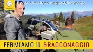 Claudio Cominardi e Chiara Gagnarli (M5S) - Stop al bracconaggio