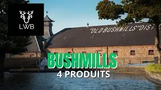 LWB. E132: Bushmills!