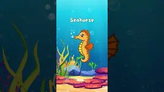 Seahorse | Learning Safari