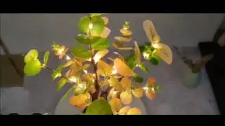 tabletop decor LED tree lamp. techbonsai