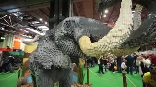 BRICKLIVE Basel 2018 &ndash; Safari f&uuml;r LEGO&reg; Fans