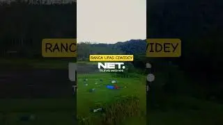 Ranca Upas Ciwidey Bandung, kondisi Savana Camping Ground #rancaupas #bandung