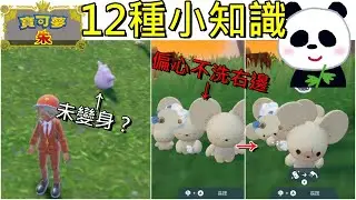【寶可夢 朱／紫】你可能不知道的12種小知識 一家鼠沒被洗澡會生氣 未變身的百變怪在哪？忍蛙的抽像畫你看過嗎？ 【地方熊貓】 ポケモンSV