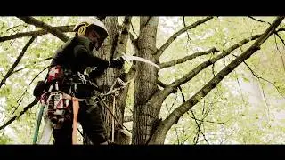 Tree Ninja - Expert Edmonton Arborists