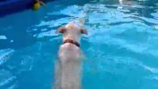 VID 00002 20090902 1748