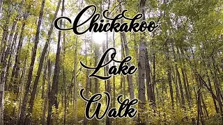 Chickakoo Lake | Relaxing Nature Walk | Walk With Me