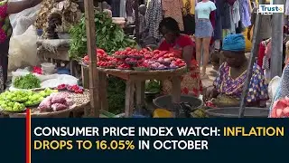 Consumer Price Index Watch: Inflation Drops To 16.05% In October