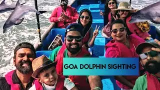 Vlog 66 -  Dolphin 🐬 sighting fun in North Goa  ( PART - 2 )
