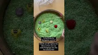 Springtime Sensory Bin!
