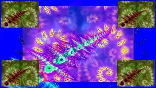 Donmiron - Sagizaurus (sound and video by Miron)