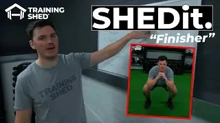 SHEDit #6