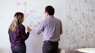 Cultivating the future of neuroscience, today