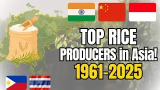 🌏 Top Rice Producing Countries in Asia (1961&ndash;2025) 🍚 | The Largest Rice Producers in Asia