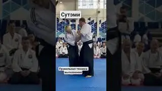 Сутэми | Техника выполнения | Руднева Наталья Вячеславовна Вице-президент ФАР