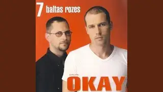 Palaiž Garām (feat. Elvis Jansons)