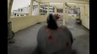 Rooftop Shootout in Hong Kong &ndash; Better Than Dead (Bodycam FPS)
