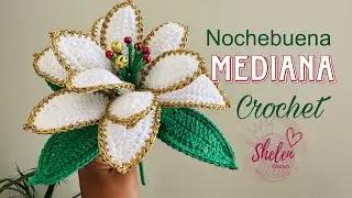 Nochebuena MEDIANA a Crochet 🌺 | Flor de Navidad Paso a Paso | Tutorial Fácil