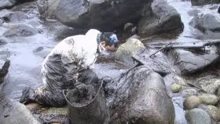 Prestige. Aguiño 2002