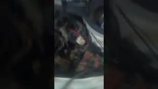 Doblo defeito no chicote