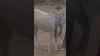 Russ Krachun Kozak Horsemanship - True Grit Academy #shorts