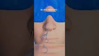 ID do produto na tela #aparador #youtubeshorts #pelosnonariz #pelso #viral