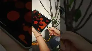 STYLEPIE-240W Coiled cable 4 in 1
