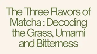 The Three Flavors of Matcha : Decoding the Grass, Umami and Bitterness